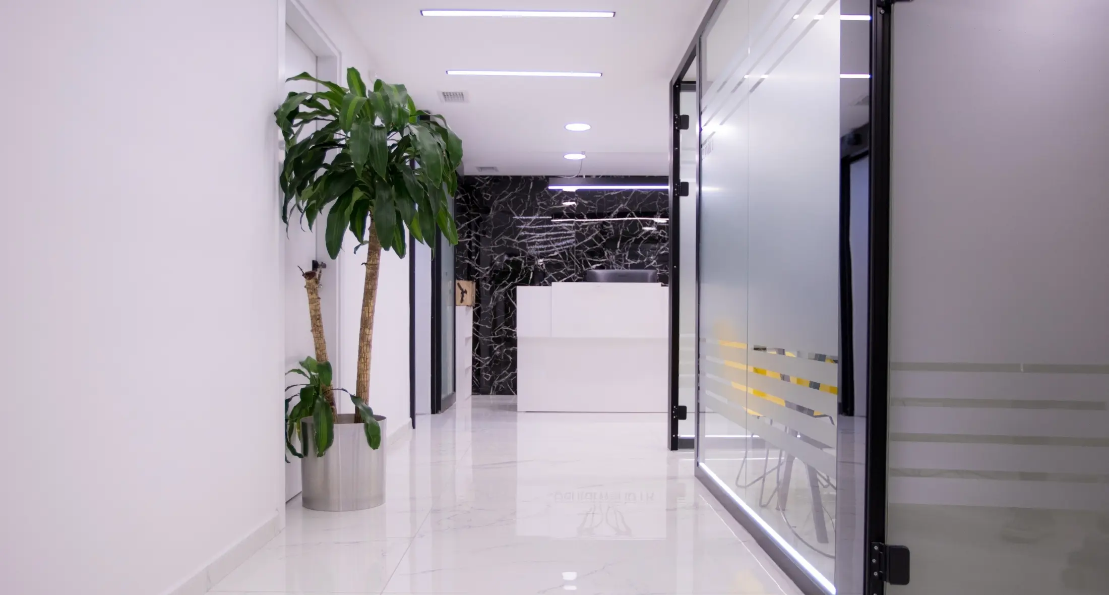 Interior of Dr. Barış Unan's dental practice, Istanbul